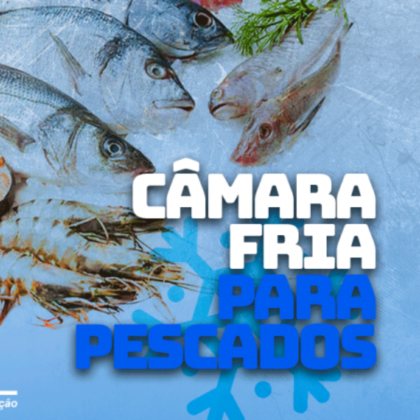 Câmara Fria para Sorvete